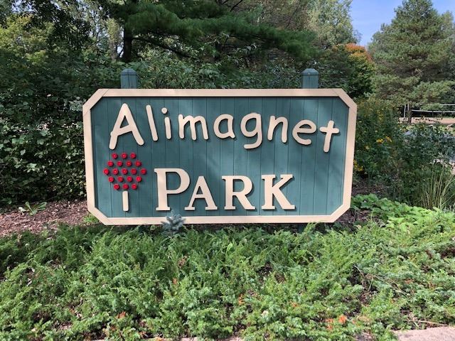 Alimagnet Park in Burnsville
