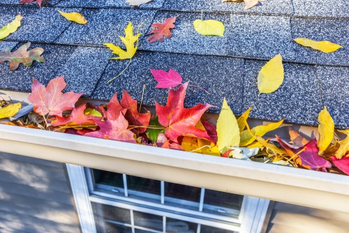 Fall projects for your home!