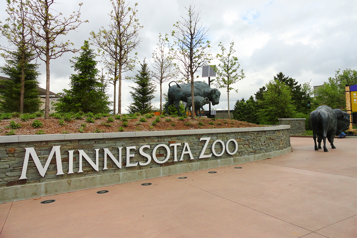 Visit the Minnesota Zoo